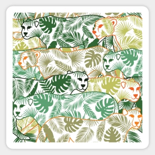 Tropical Leopards Sticker